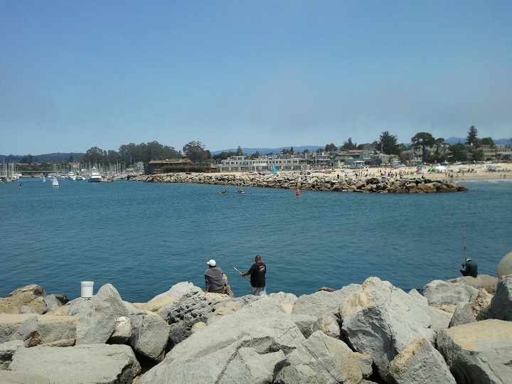 Image or picture of the Santa Cruz Harbor to the left.