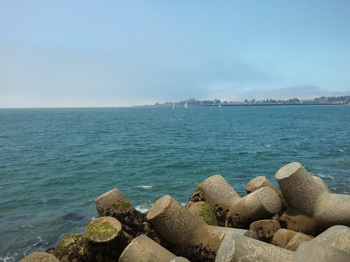 Image or picture of the Santa Cruz Warf in the distance.